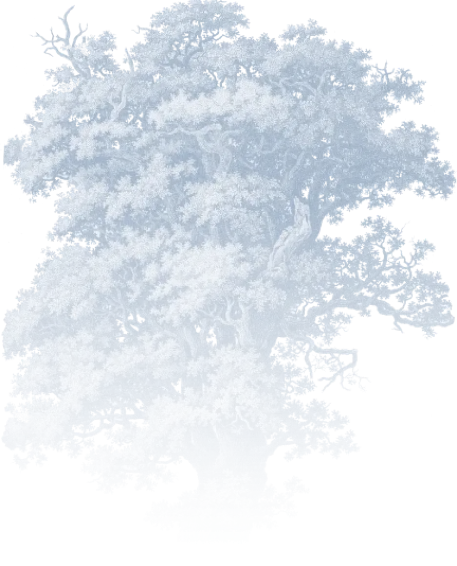 img-top-center