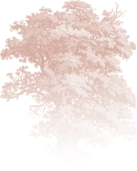 img-top-left